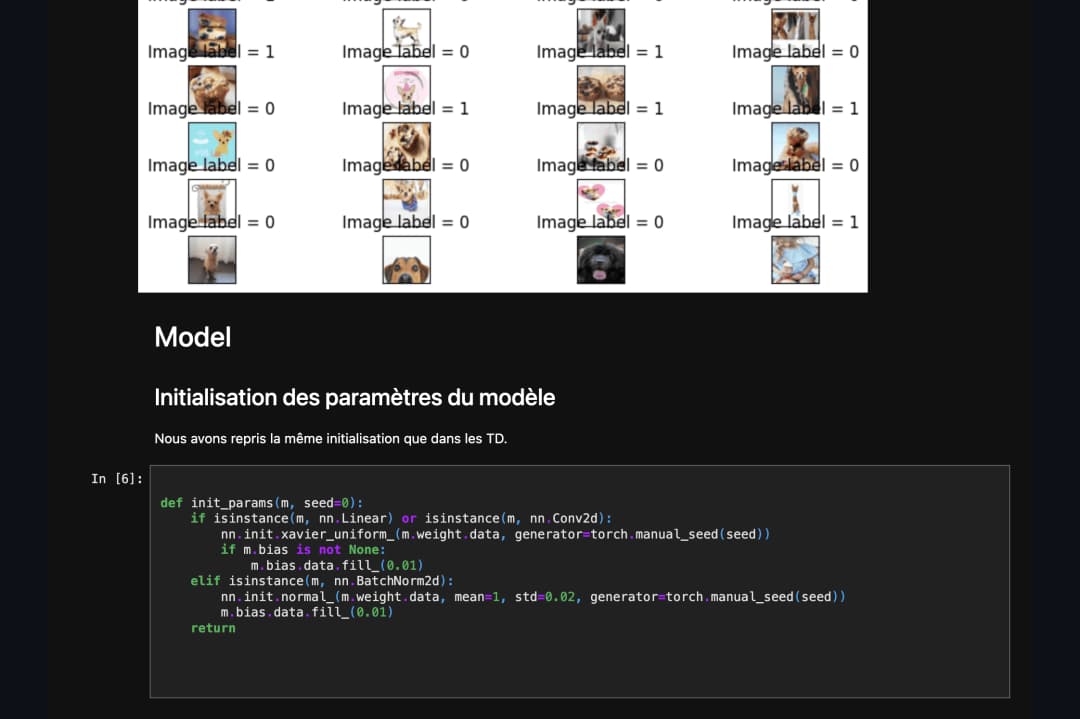 Chihuahua or Muffin?